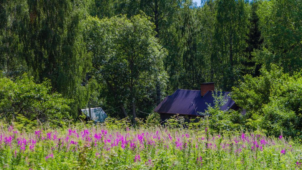Rajan Loma Cottages Joensuu Exterior foto